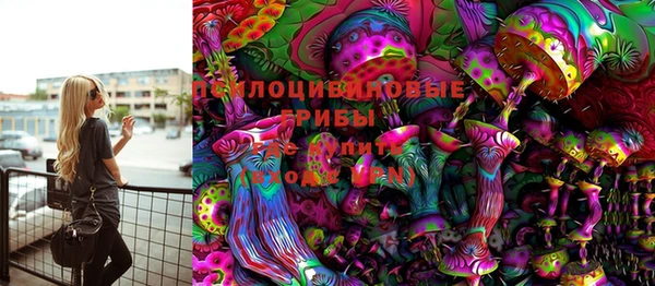 прущие грибы Алексин