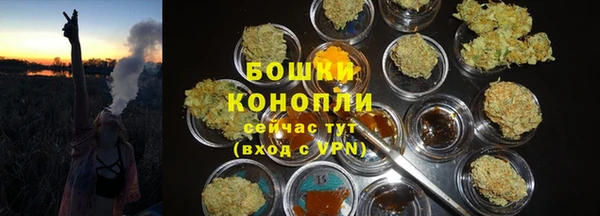 тгк Ельня