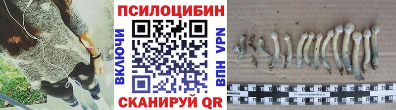 shop Telegram  ссылка на мегу ТОР  Цимлянск  Галлюциногенные грибы мицелий 